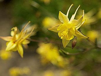 演员简历泄露：R星可能正在开发一款未公开VR游戏